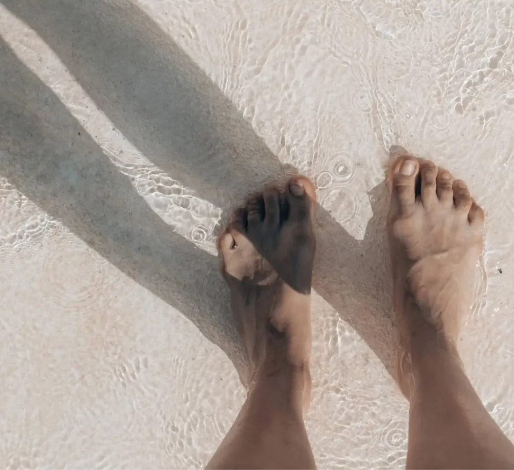 reflexo p (1)